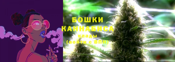молекула духа Зерноград