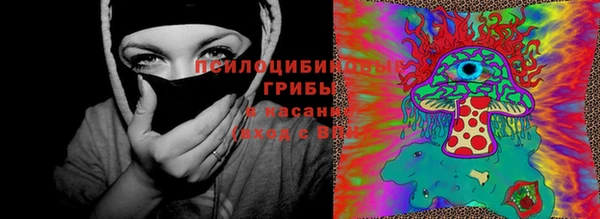 гидра Арсеньев